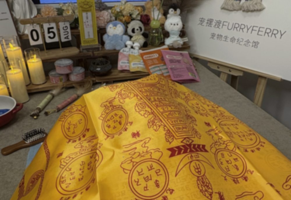宠摆渡沈阳告别仪式厅